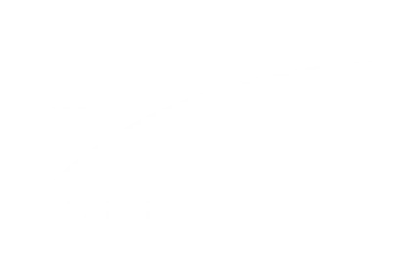 Starlink